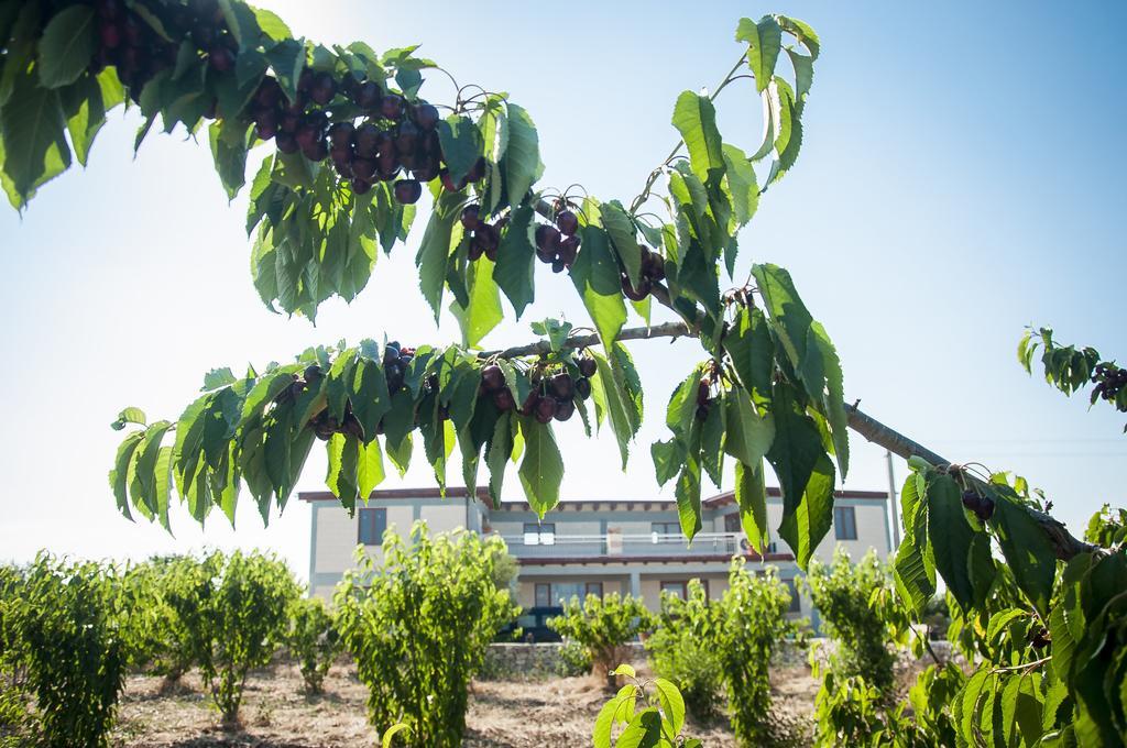 Willa Agriturismo La Ferrovia Molfetta Zewnętrze zdjęcie